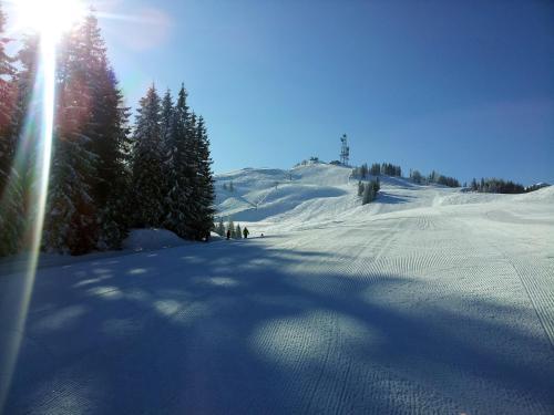 Apartamento Appartements Schmidsendl