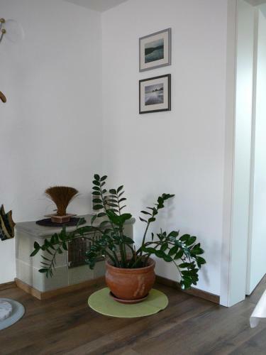 Apartamento Winzerhof Unter Der Yburg
