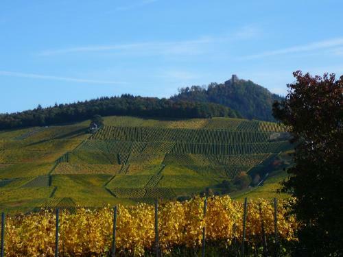 Apartamento Winzerhof Unter Der Yburg
