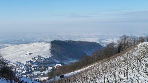 Apartamento Winzerhof Unter Der Yburg