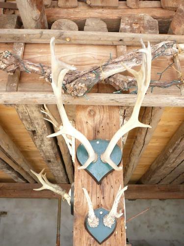 Apartamento Winzerhof Unter Der Yburg
