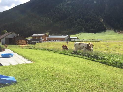 Apartamento Laurins Lodge