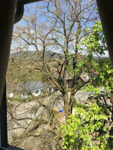 Apartamento Bergziege