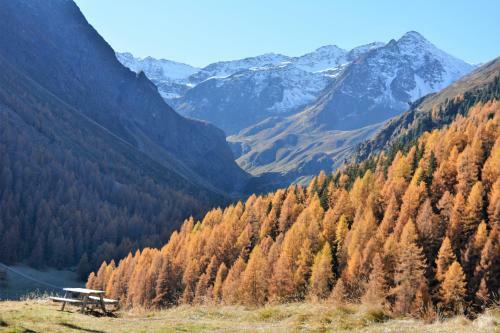 Apartamento Haus Sonnenalm