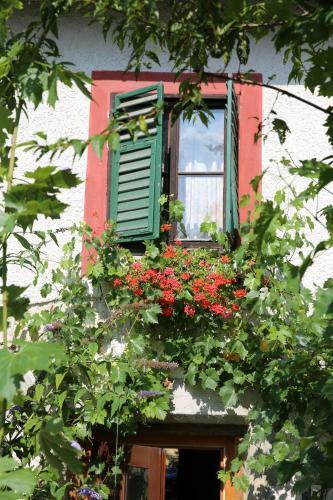 Hostal Haus Wartenberg