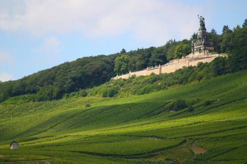 Hotel Krone R�desheim