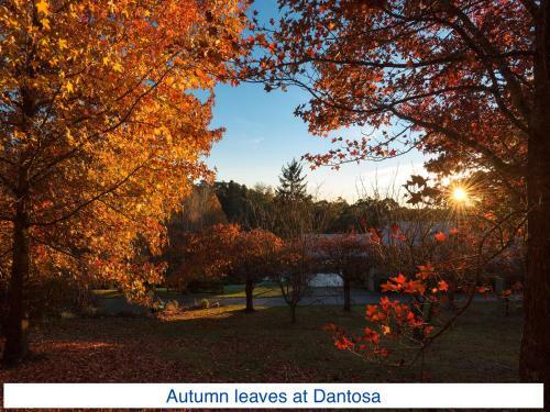 Dantosa Blue Mountains Retreat