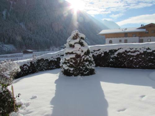 Apartamento Haus Egger