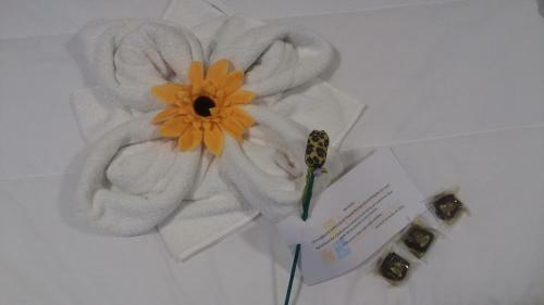 Hostal Pousada Boutique Quatro Esta��es