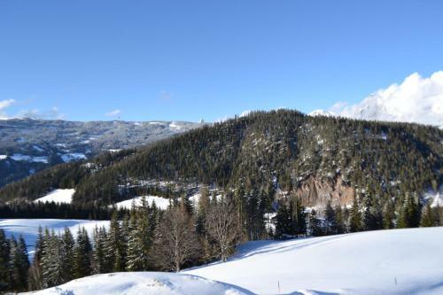 Hostal Innviertler Berggasthof