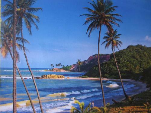 Apartamento Mardisa Flat Frente Mar