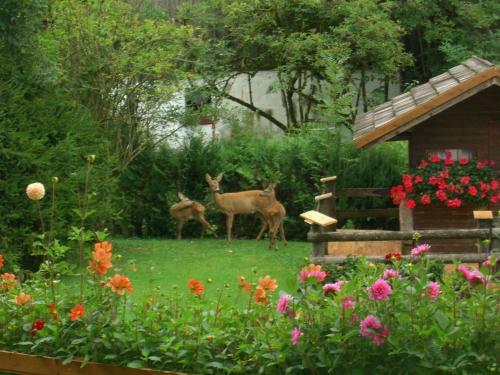 Apartamento Haus K�nighofer
