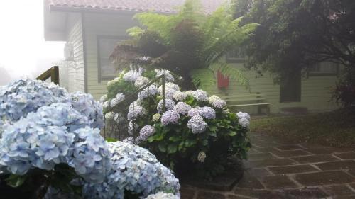 Hostal Pousada Aldeia Das Azaleias