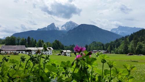 Apartamento G�stehaus Salzgau