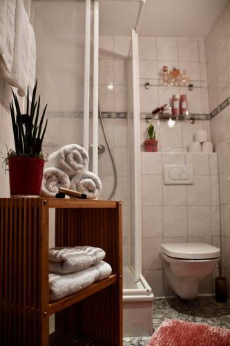 Hostal Boutique Hotel Pinzgauerhof