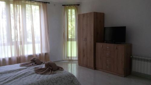 Hostal Guest Rooms Oasis 2