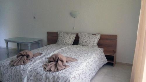 Hostal Guest Rooms Oasis 2