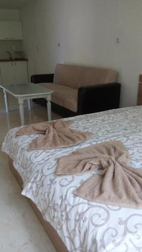 Hostal Guest Rooms Oasis 2