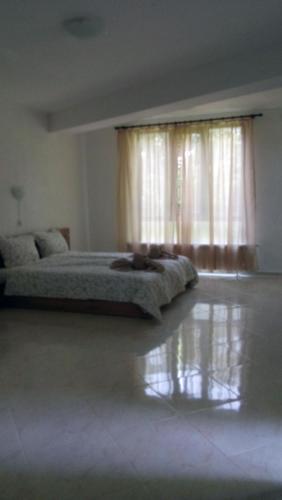 Hostal Guest Rooms Oasis 2