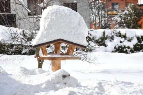 Bed & Breakfast Pension Schmidinger