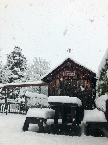 Hostal G�stehaus Hackl