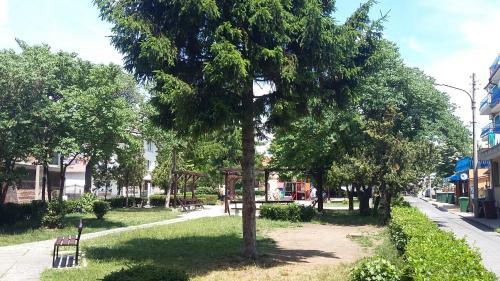 Apartment Rakovski 13