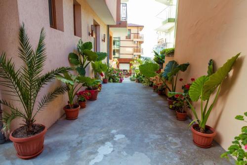 Hotel Orchidea