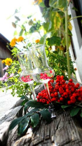 Agroturismo Stoanahof