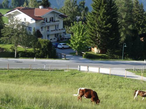 Haus Alpina
