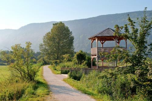 Apartamento G�stehaus Struggl