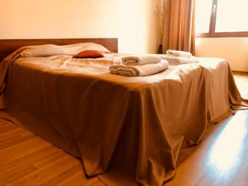 Apartment In Iglika Complex
