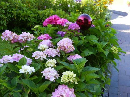 Hostal Pension Resi