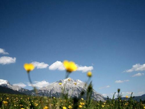 Hostal Pension Walln�fer