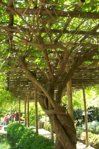 Hotel Deltour H�tel Al�s