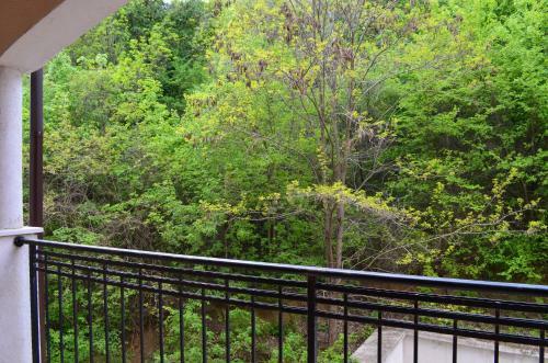 Bendita Holiday Apartments