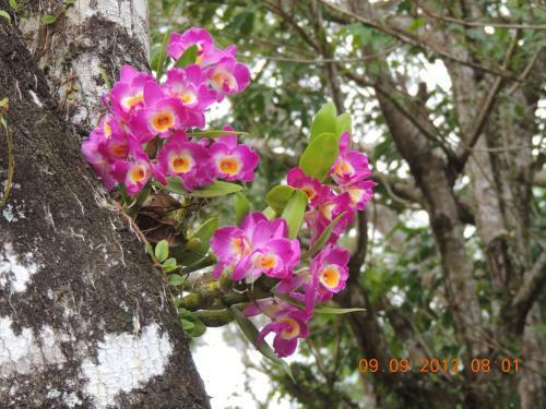 Hostal Bistr� & Hospedagem Ilha Do Mel