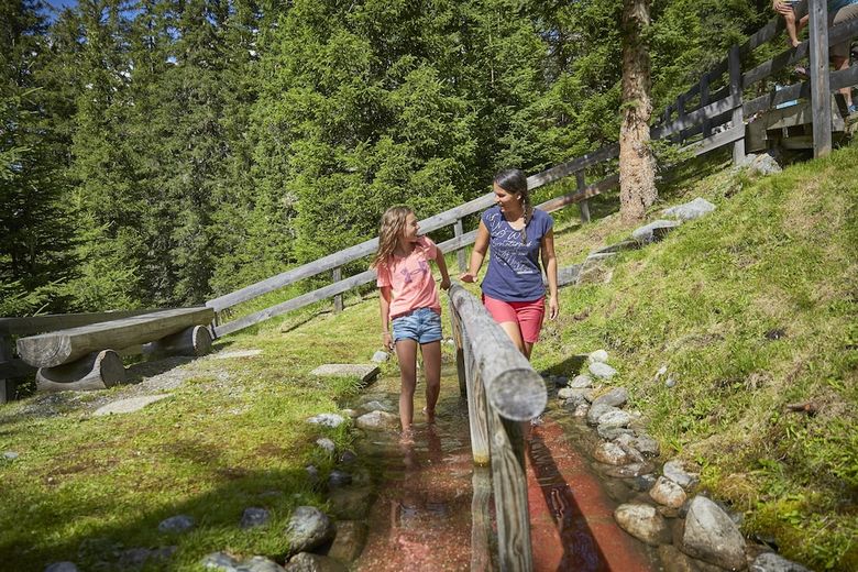 Hotel Alpenk�nigin