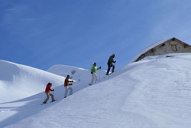 Hotel Alpenk�nigin