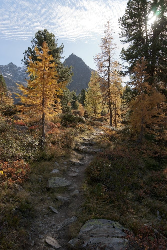 Hotel Alpenk�nigin