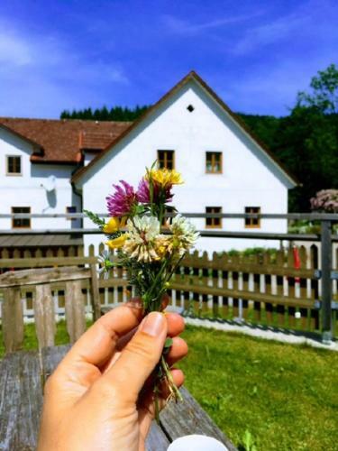 Apartamento Einkehrhof Poggau