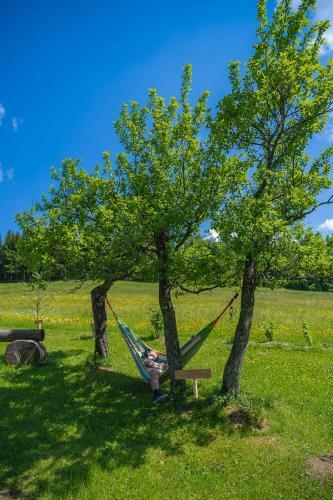 Apartamento Einkehrhof Poggau