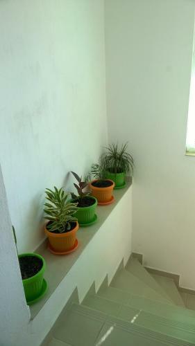 Hostal Summer Sz Guest House