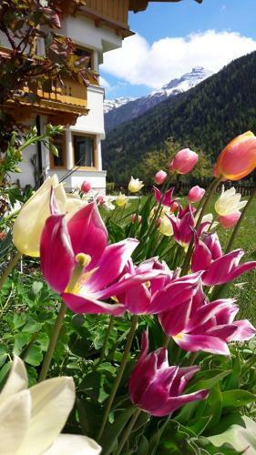 Apartamento Landhaus Alpensonne