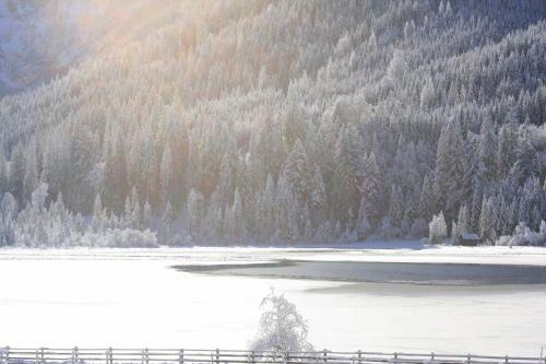 Apartamento Haus Am Lift