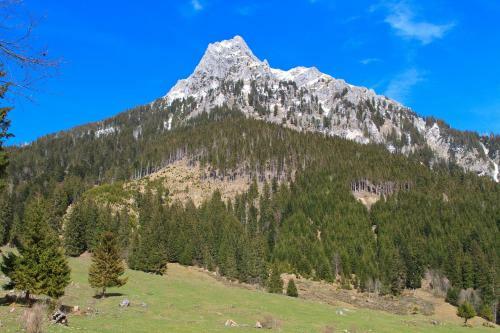 Hotel Gasthof Aggenstein