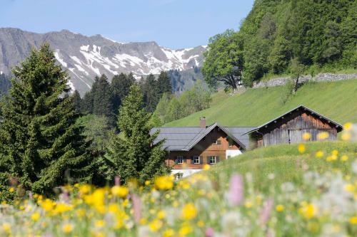 Apartamento B�dmerhof