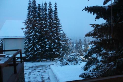 Apartamento Ferienwohnung Braunlage