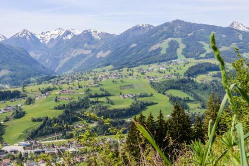 Apartamento La Montana