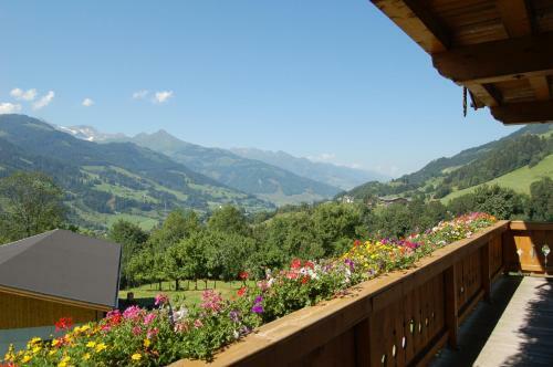 Agroturismo Gro�berghof