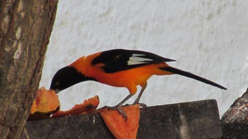 Hostal Pousada Da Lucinha